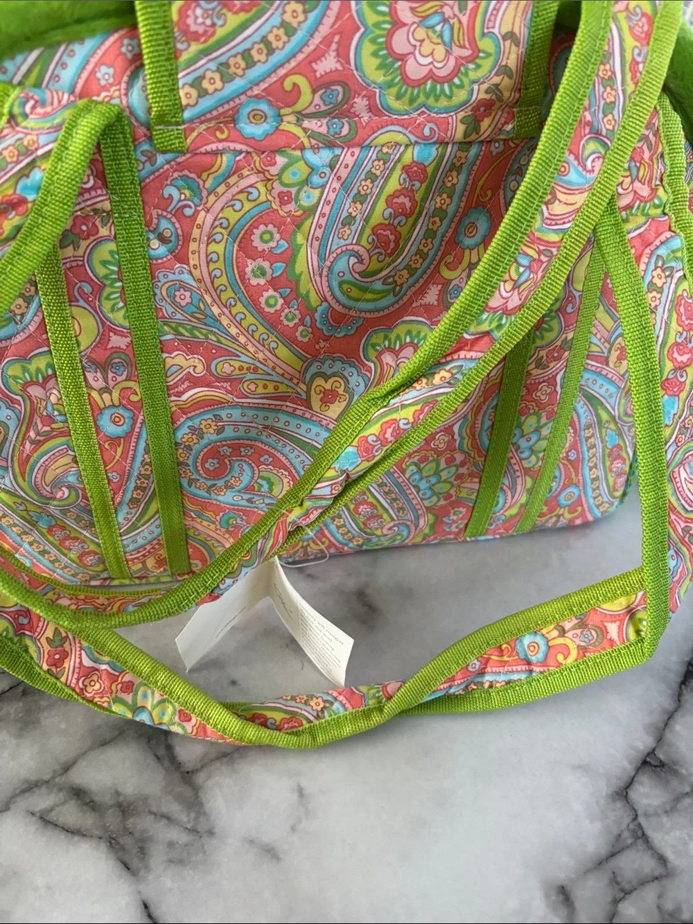 Small Pet Carrier Tote in Coral Paisley with Lime Trim